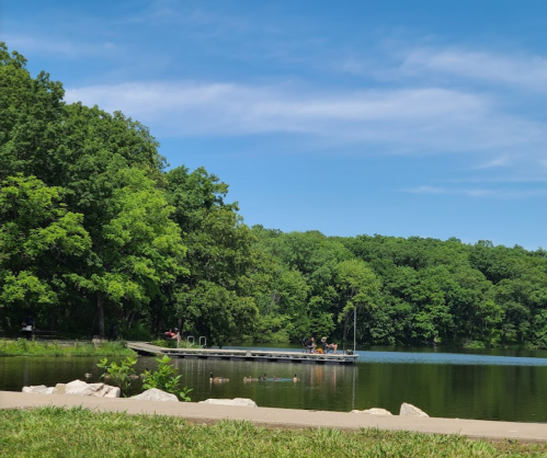 A serene lake surrounded by lush green trees, with a wooden dock extending into the water under a clear blue sky.